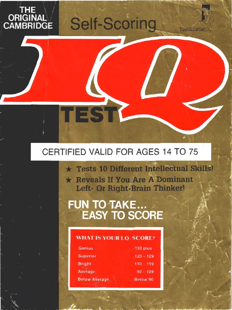 IQ Test | PDF