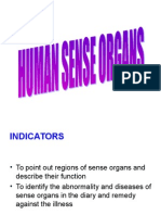 Human Sense Organs