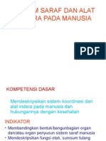 Sistem Saraf Dan Alat Indera Manusia