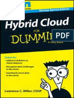 Rp Hybrid Cloud Dummies