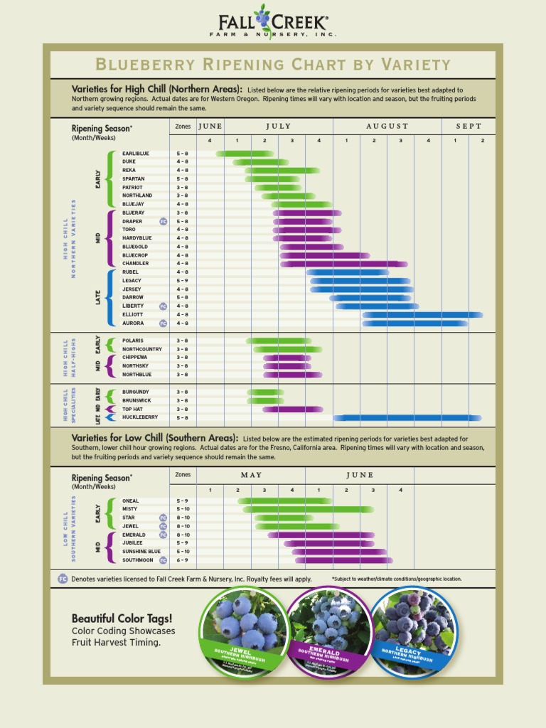 Blueberry Ripening Chart by Variety: Varieties For High Chill (Northern ...
