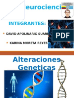 Alteraciones Geneticas 
