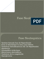 Fase Neohepática