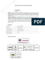 Modelo de Informe de Prácticas Pre Profesionales