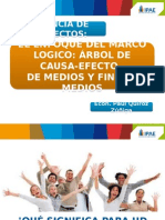 Gestión de proyectos: Enfoque del marco lógico para el análisis de la cadena productiva apícola