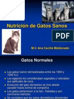 02.2 Nutrición de Gatos Sanos - Hill's
