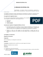 Brigadas de las Instituciones.pdf