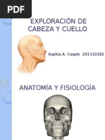 Exploración de Cabeza y Cuello 