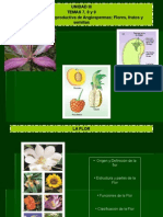 Temas 7, 8 y 9 Flor, Fruto y Semilla