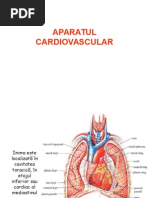 119285307 Aparatul Cardiovascular