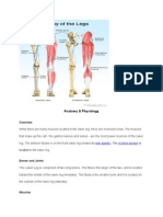 Anatomy & Physiology: To) - The Is Located