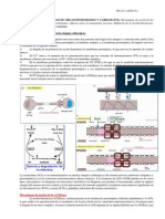 BIOQUIMICA.