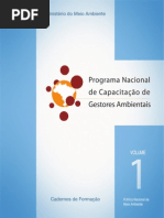 Instrumentos Da Gestão Municipal AmbientalMMAvolume1