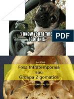 Fosa Infratemporala