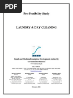 Download Laundry  Dry Cleaning by Dibekulu Tafesse SN272084937 doc pdf