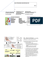 Metabolic Process