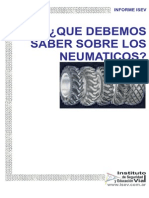 informe_isev_neumaticos.pdf