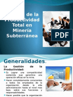 Gestion de La Productividad