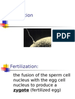 Fertilization-Early Embryo Dev't