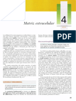 Gartner, Leslie P. - Texto Atlas de Histologia, 2da Edición (4 Matriz Extracelular)