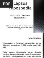 Lapsus Hipospadia