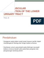 Neuromuscular Dysfunction of The Lower Urinary Tract