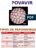 Papo Virus