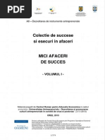 Mici Afaceri de Succes - Vol I PDF