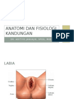 Anatomi Dan Fisiologi