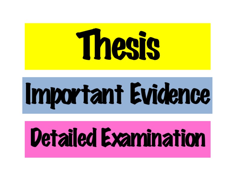 Thesis on Important Evidence Analysis | PDF
