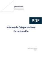 Informe de Categorización y Estructuración