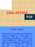 DNA Repair R