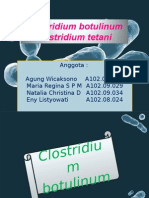 Bakteri Clostridium