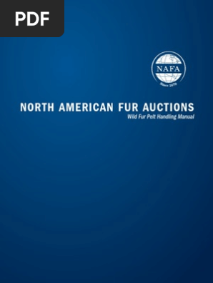 Bear Materials