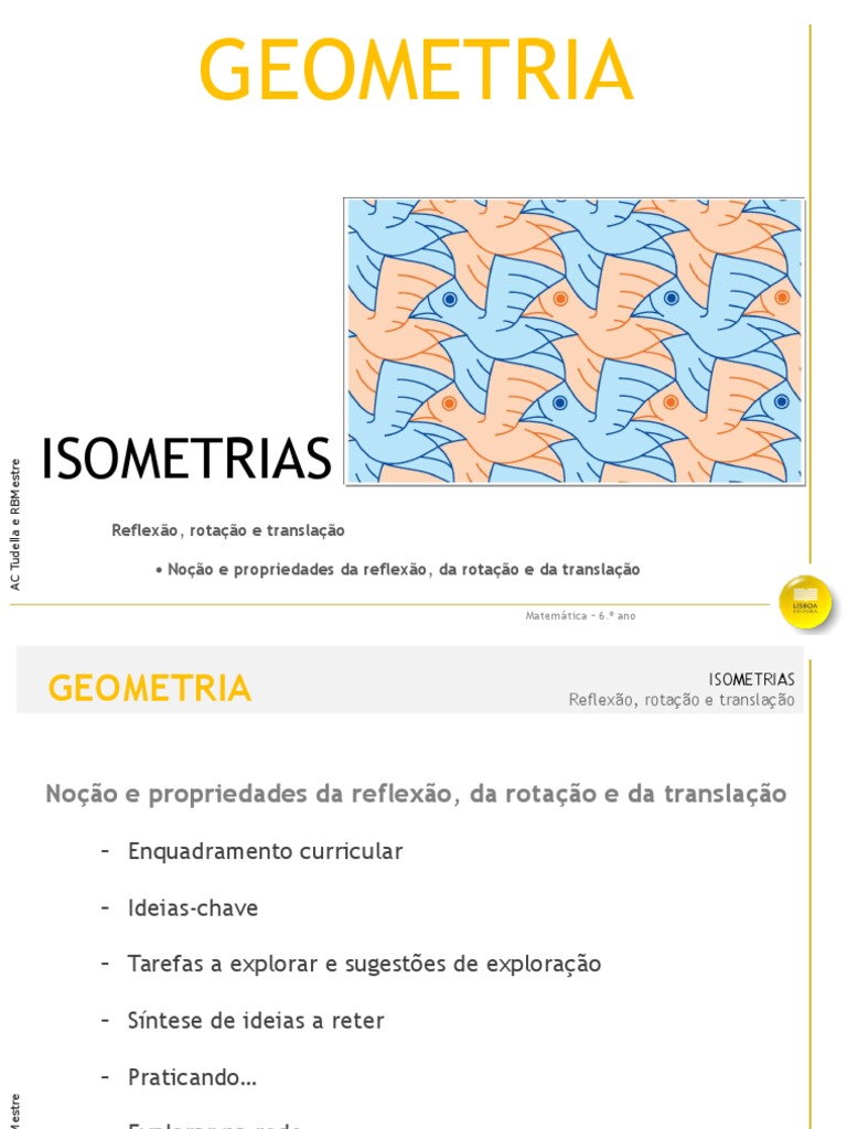 Isometrias | Geometria | Reflexão (Física)