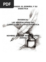 DIPLOMADO Curriculum y Psicogénesis
