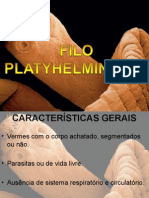 Filo Platyhelminthes