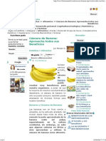 Cáscara de Banana Platano_piel Pequeñas Verrugas Potasio Etc Aprovecha Todos Sus Beneficios