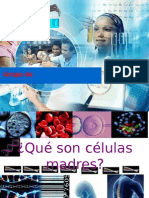 97849971-celulas-madres.pptx