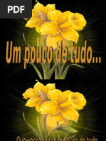 Um pouco de tudo