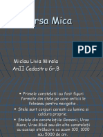 Ursa Mica