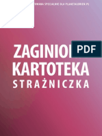 Zaginiona Kartoteka. Strażniczka