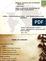 Coffee – an International Plan – Brief History and Current Evolution