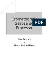 Cromatografia Gasosa de Processo