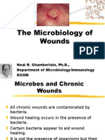 Microbiology of Wounds