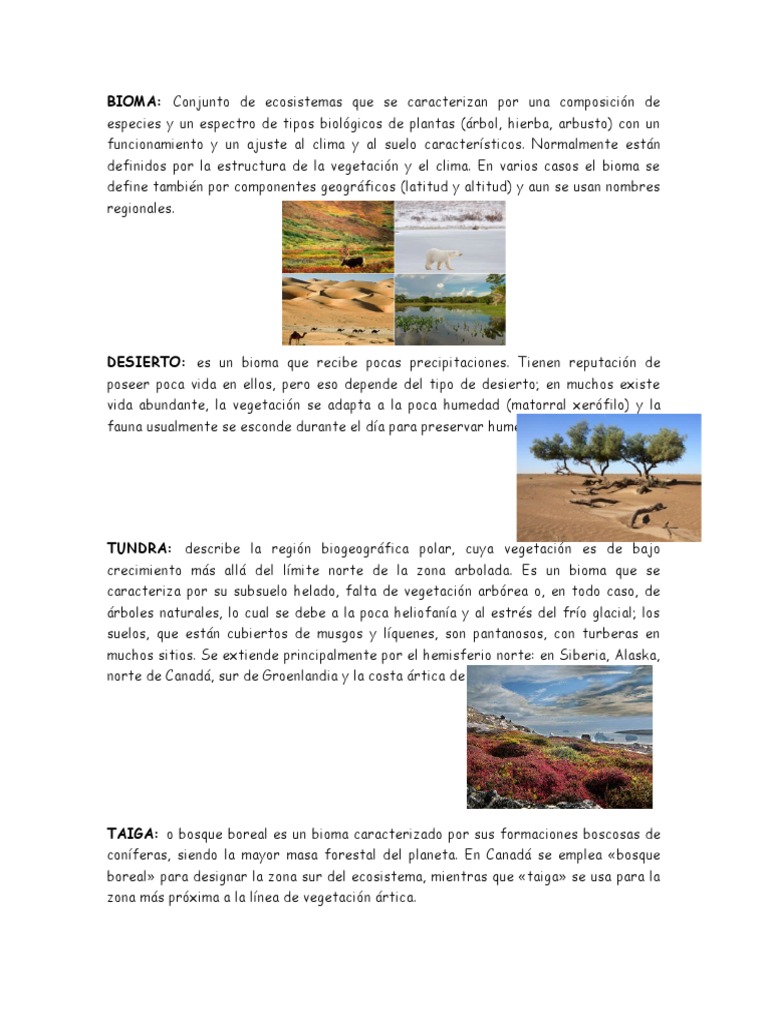 Tipos y características de biomas | PDF | Selva | Desierto