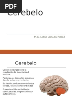 cerebelo.ppt