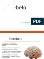 Cerebelo