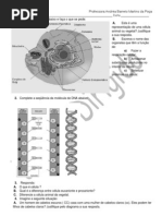 Revisão para o 8o ano