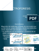 Electroforesis